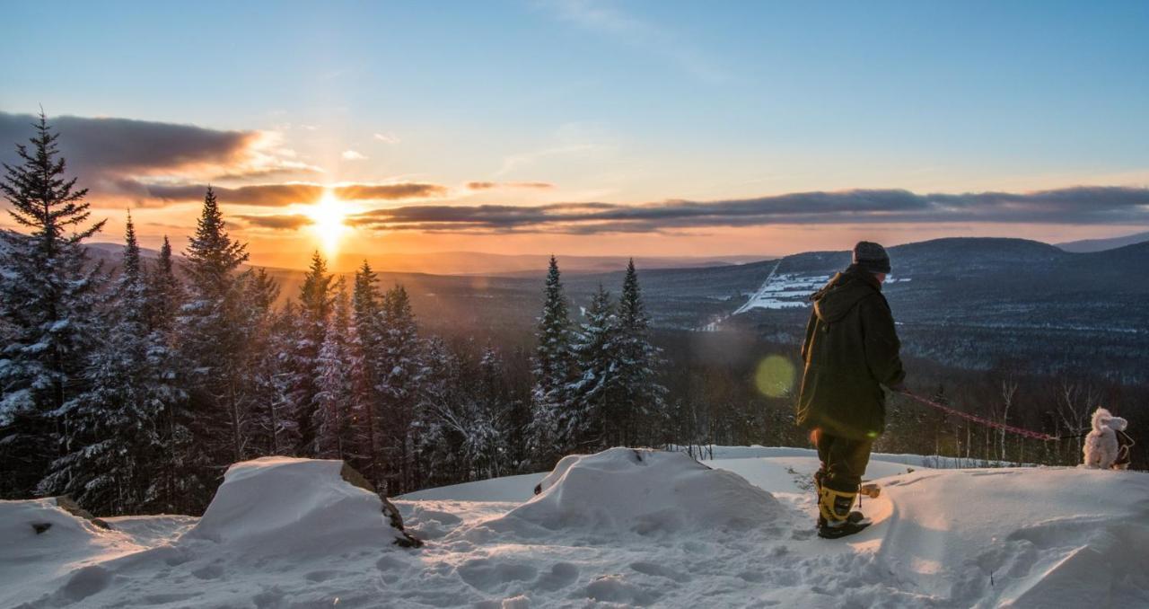 Chalets Du Domaine - De Luxe Notre-Dame-Des-Bois Eksteriør bilde