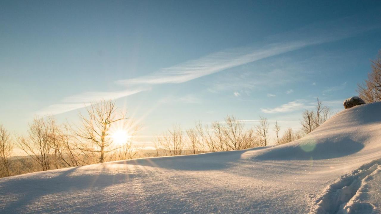 Chalets Du Domaine - De Luxe Notre-Dame-Des-Bois Eksteriør bilde