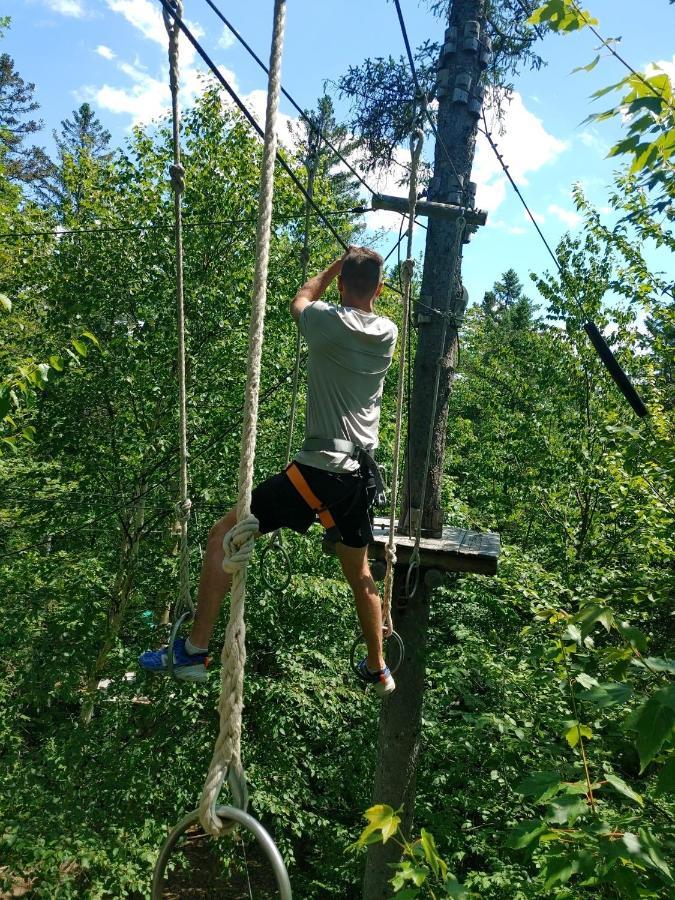 Chalets Du Domaine - De Luxe Notre-Dame-Des-Bois Eksteriør bilde